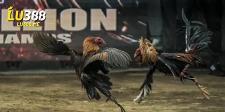 da ga truc tiep lu388